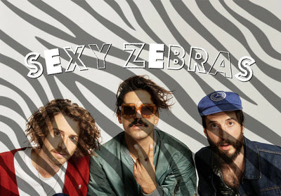 Socken in limitierter Auflage: SEXY ZEBRAS🦓